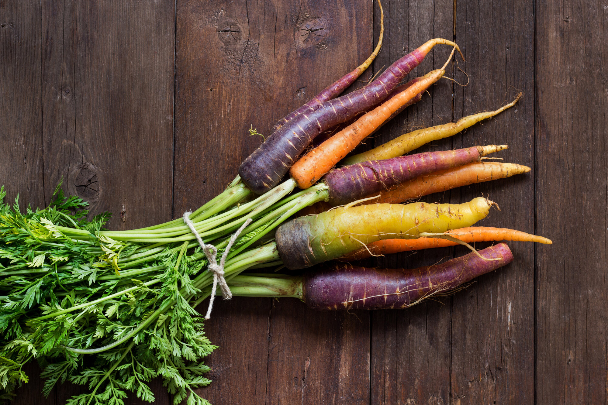 fresh organic rainbow carrots XJUWY6V - Startseite